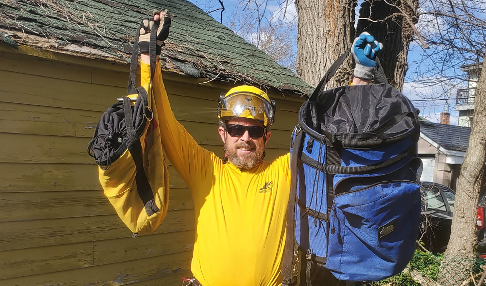 Arborists Saving Cats Arborists Saving Cats