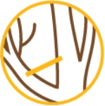 Cabling, bracing & propping