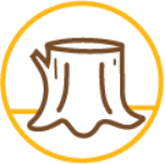 Tree Removal Toronto Ontario