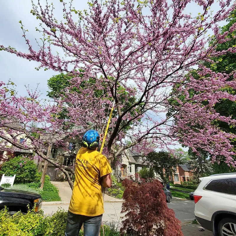 Finepruning