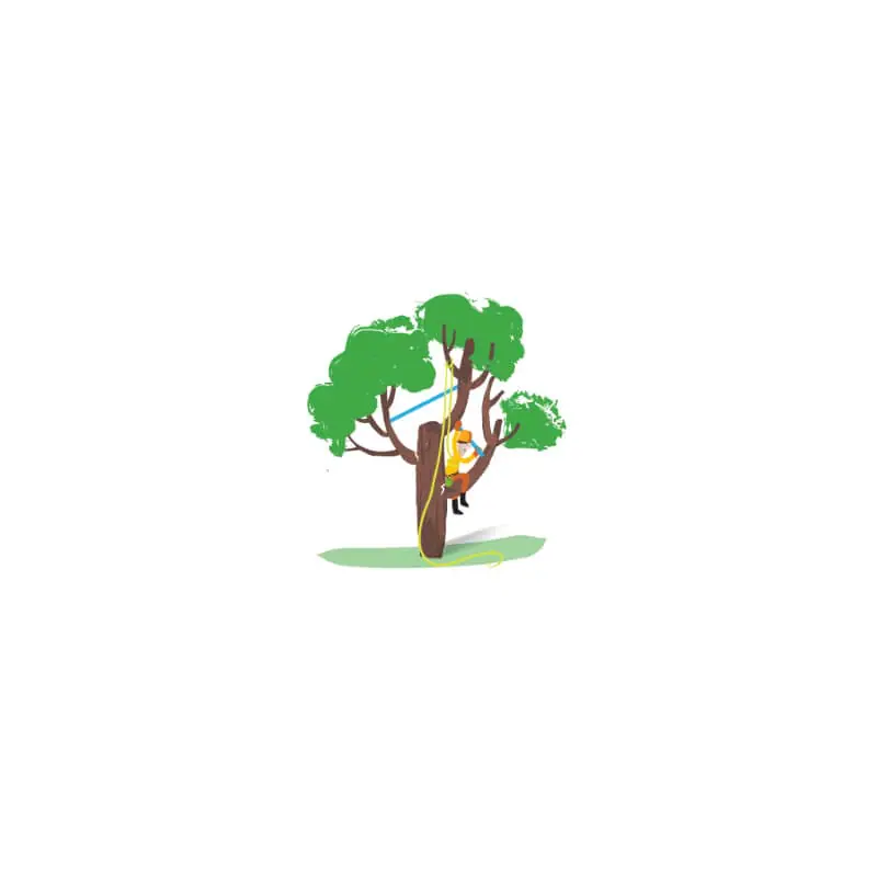 Providing services related to tree